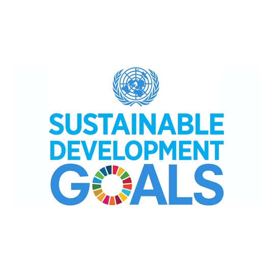 United Nations Sustainable Development Goals (SDG)